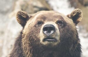 Kendall Jenner Exposes Some Cheeks In Tommy Hilfiger Show