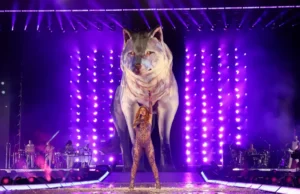 El Grupo de Lobas Solteras de Shakira: Diversidad de Edades y Talento Sin Límites